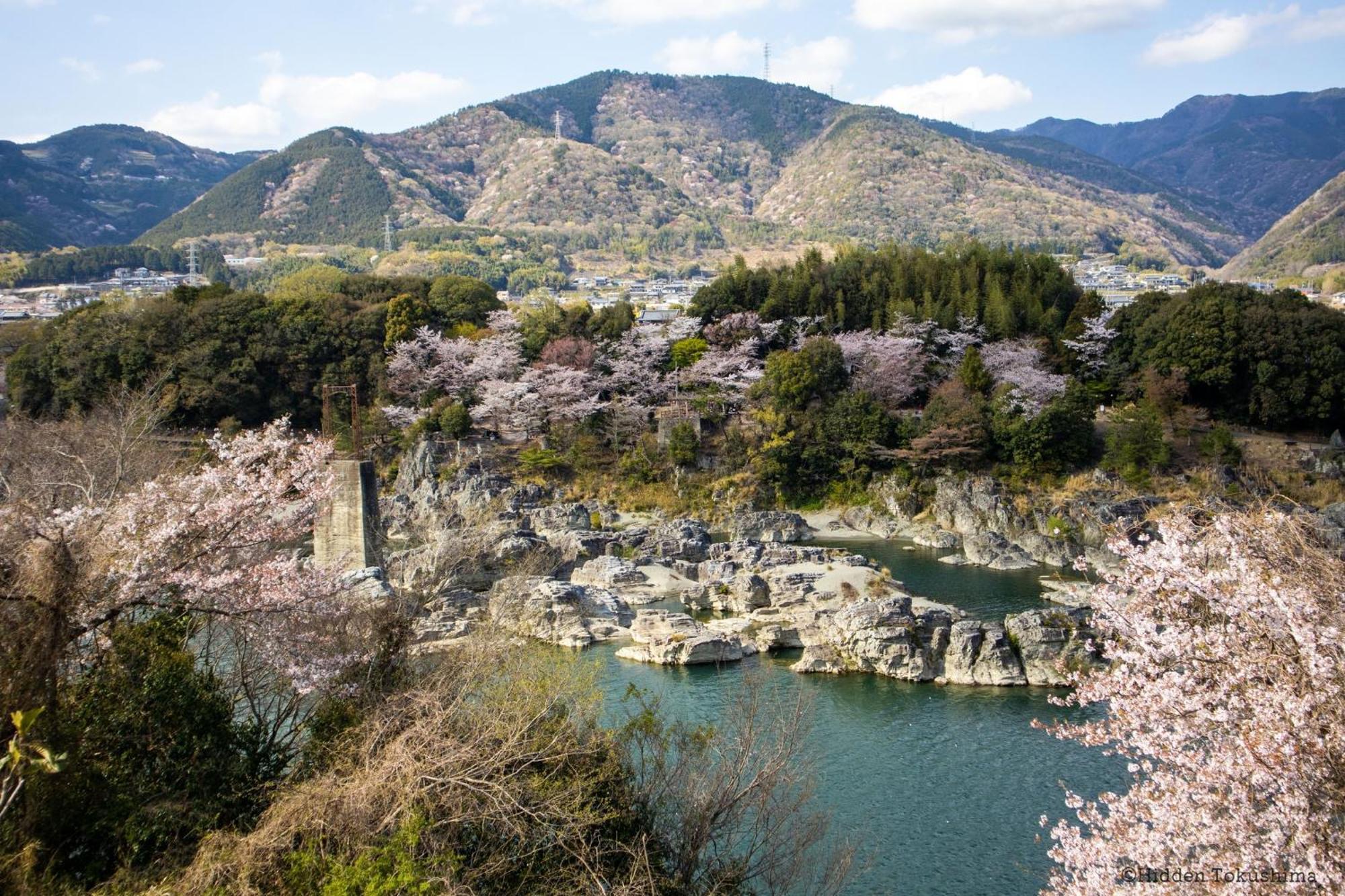 ホテル にし阿波ねすと Higashimiyoshi エクステリア 写真